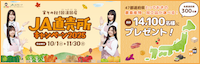直売所CP特設サイト