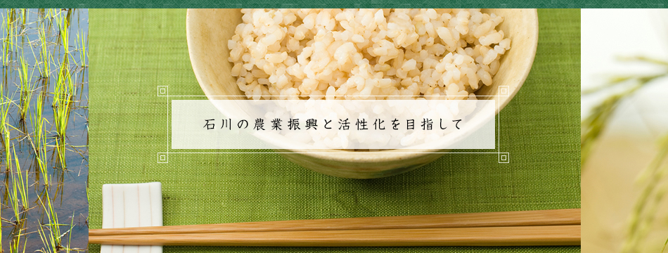 地産地消の推進と、農業の進化を目指す