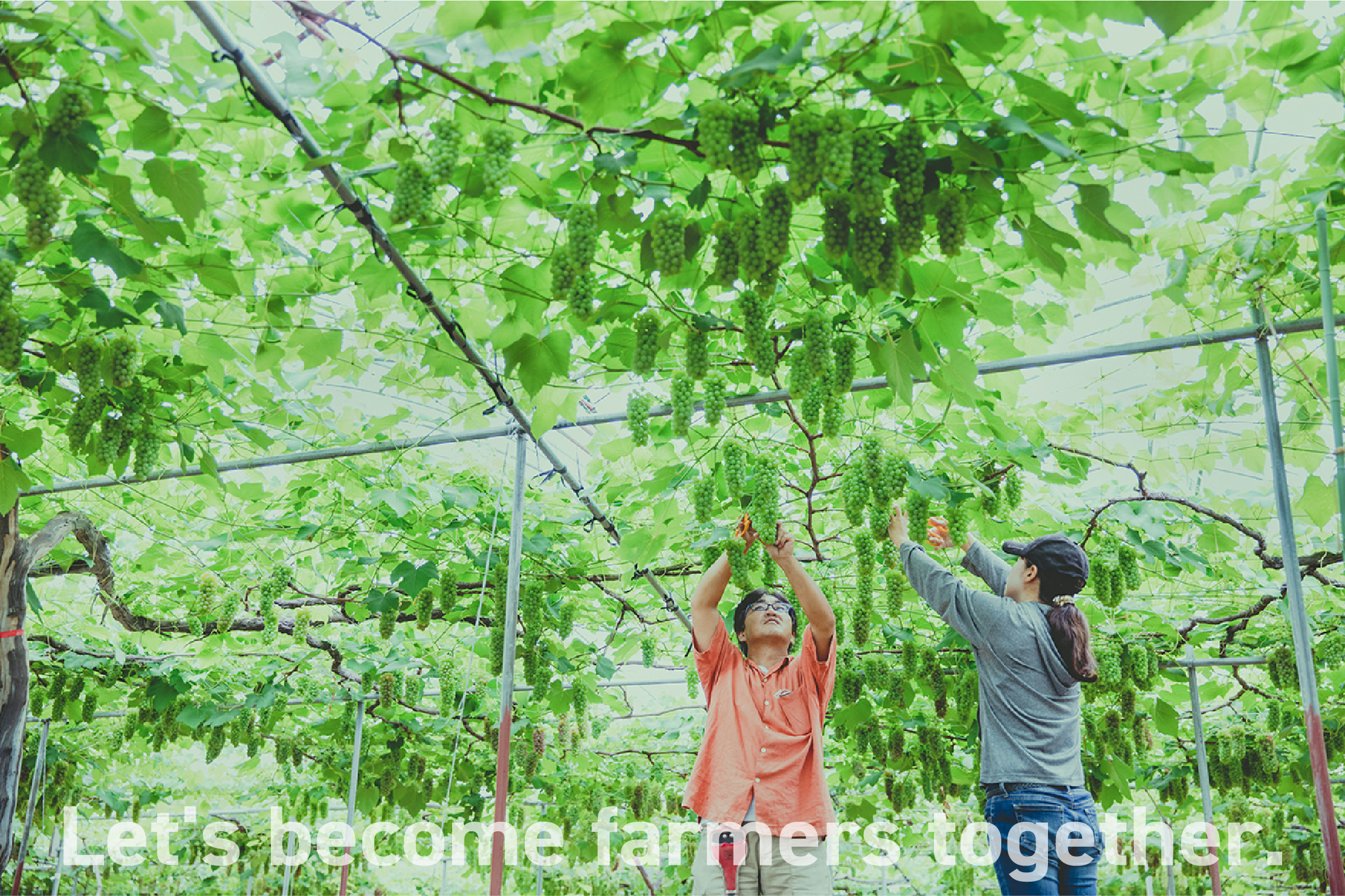Let's become farmers together.