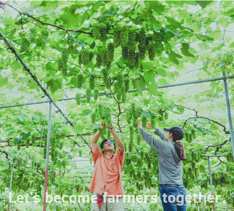 Let's become farmers together.